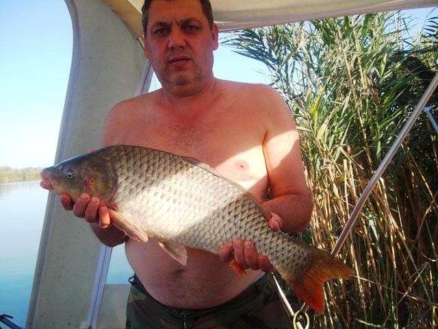 delta rosu 2009 - sany7975.JPG